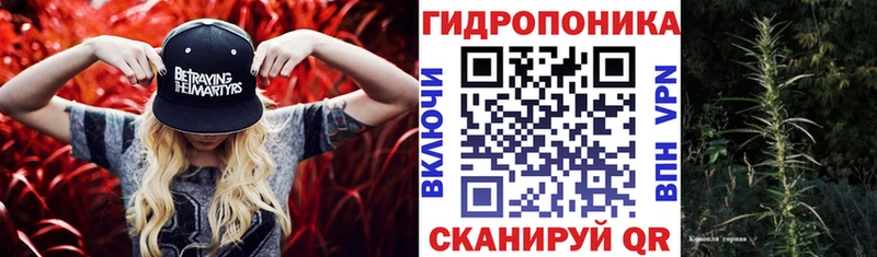 Бошки марихуана VHQ  Мглин 
